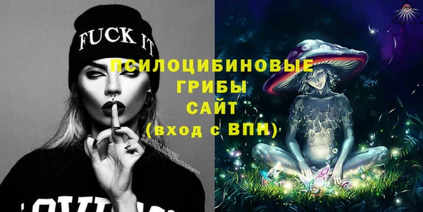 ешки Алексин