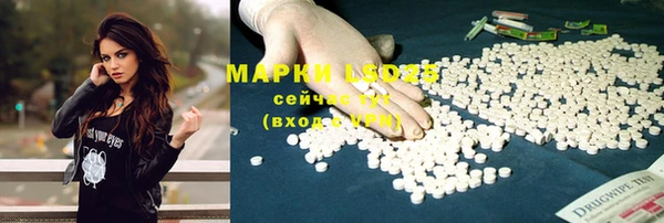 ешки Алексин
