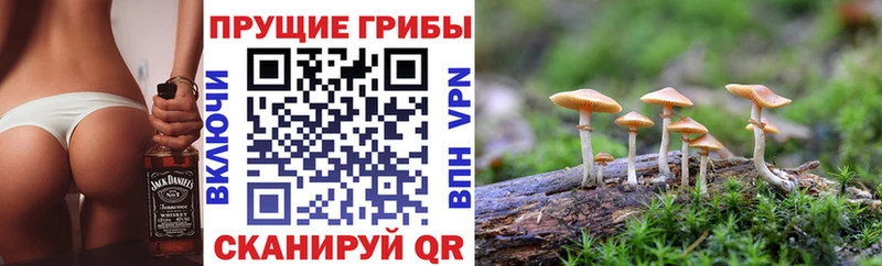 Псилоцибиновые грибы мицелий  Спасск-Рязанский 